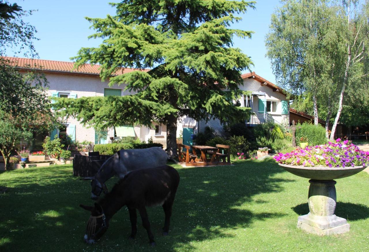 לינה וארוחת בוקר Culhat La Ferme De Capucine מראה חיצוני תמונה